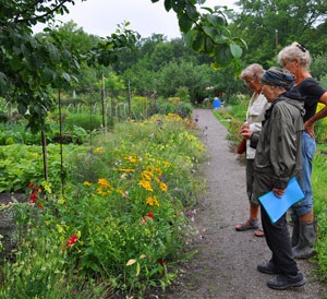 Trädgårdsbesökare sommaren 2010.