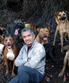 Cesar Millan