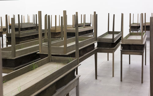 Doris Salcedo