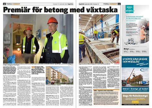 Reportage om växtaska i betong.