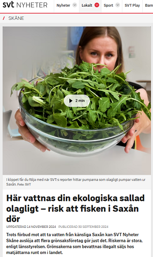 Kvinna med salladsskål
