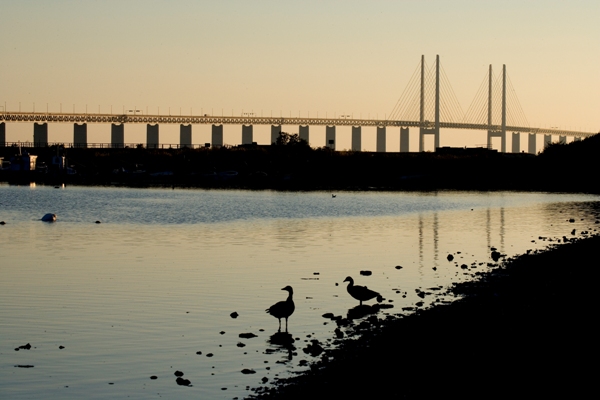 Öresundsbron