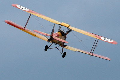 Tiger Moth