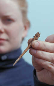 Söndagen den 29 augusti är också Arkeologidagen.