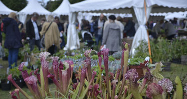 Malmö garden show.