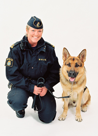 Polisen i ny kampanj mot gatuvåldet.