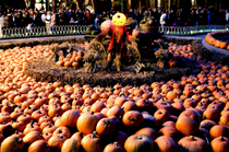 Halloween på Tivoli, Köpenhamn