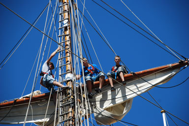 Tall Ship Races