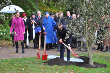 Prins Daniel planterar Gullregnsträd som traditionen bjuder på Sofiero.